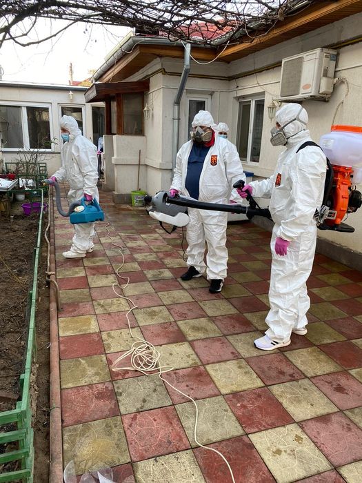 Dezinsecție ploșnițe garanție 100%