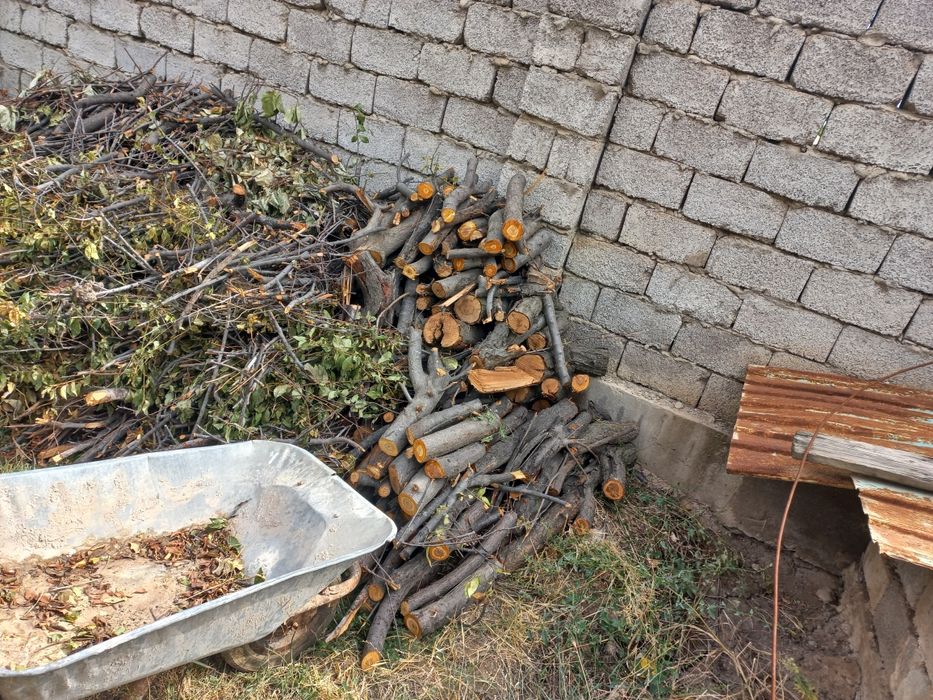 Отын сатамын, осы тұрысы 5000 тенге