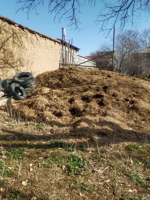 Навоз, Көң бар тегін