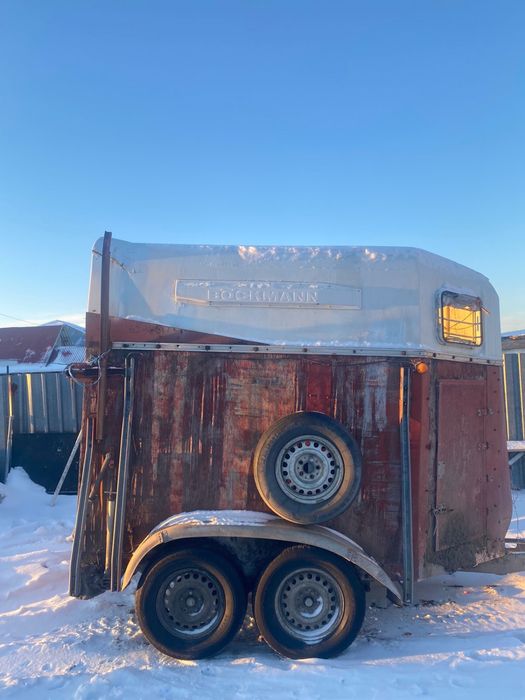 Продам коневозку