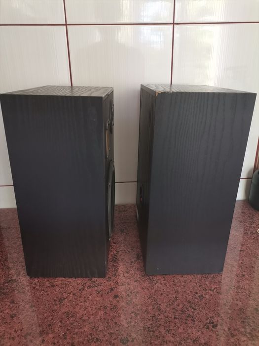 Тонколони I.Q...