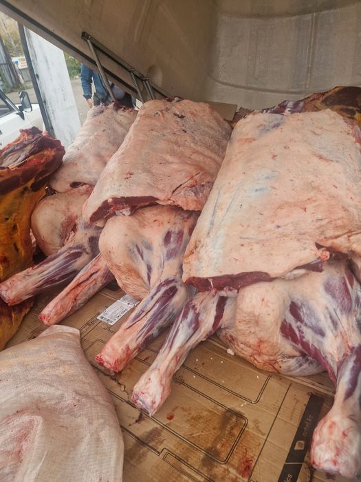 Продам мясо гов задки