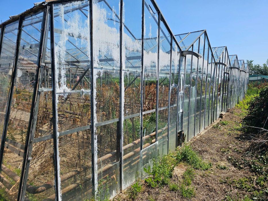 Продава се стъклена оранжерия