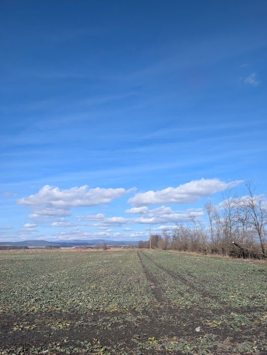 Primul tau teren | Folosește azi si investește pe termen lung!