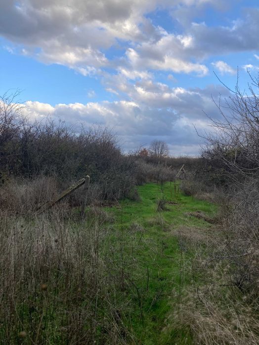 Парцел 2320 м2 - отличен за лозе/градина/пчелин, до път Дебър–Брягово