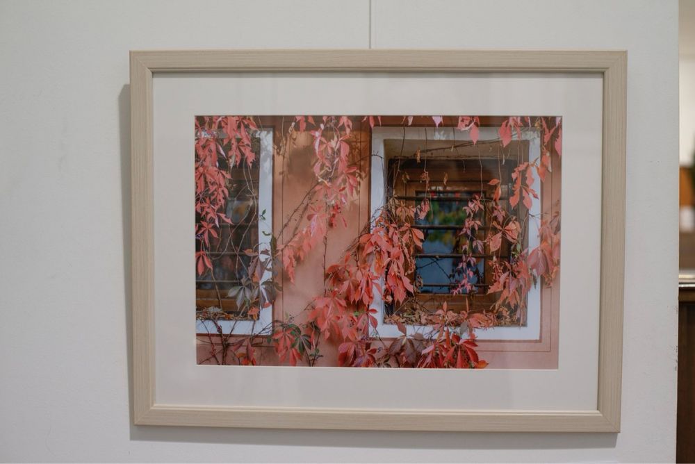 Професионално заснети картини в рамка - идеални за дома и офиса