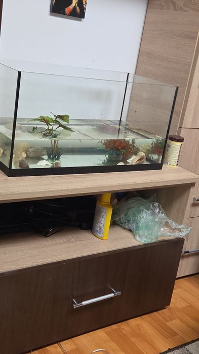 Vând accvariu cu pestii