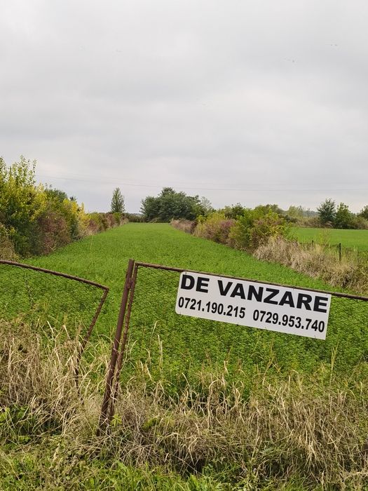 Teren intravilan Prahova