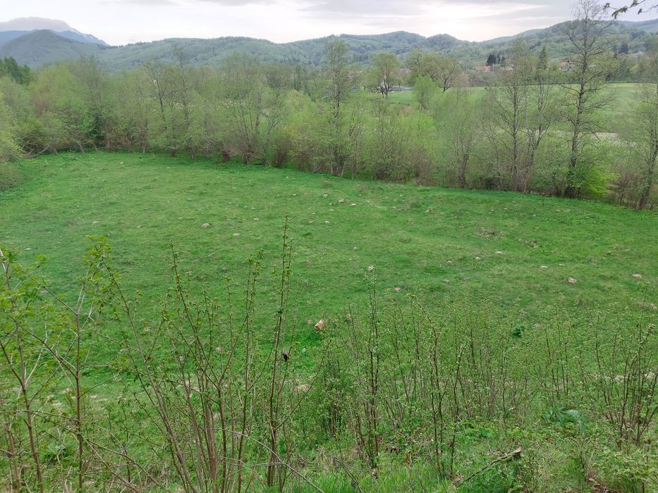 Teren intravilan agricol