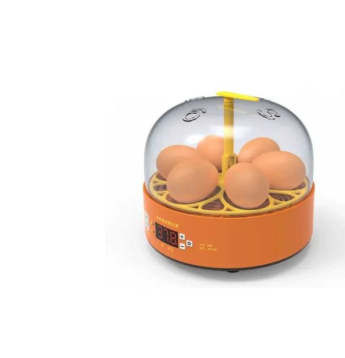 Incubator Automat Clocitoare 6 Oua Gaina Prepelite Pasari LivratGRATUI