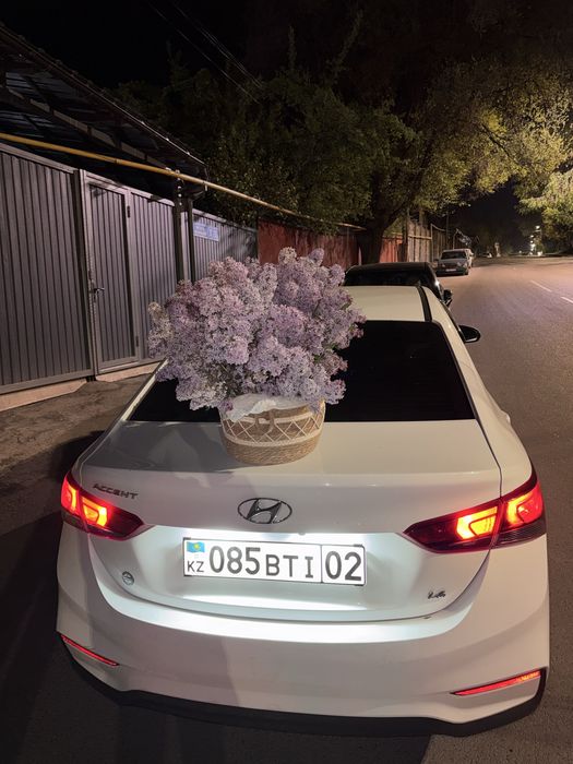 Цветы только сейчас подарили