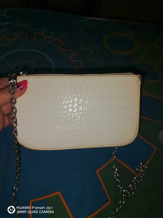 Готина  чантичка