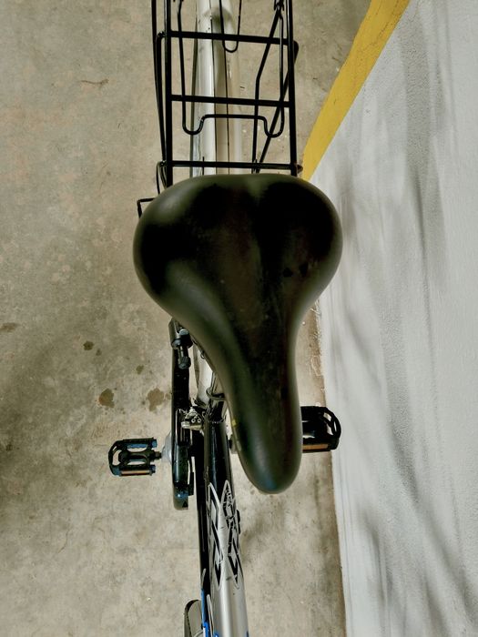 Bicicleta dama Trek Lady