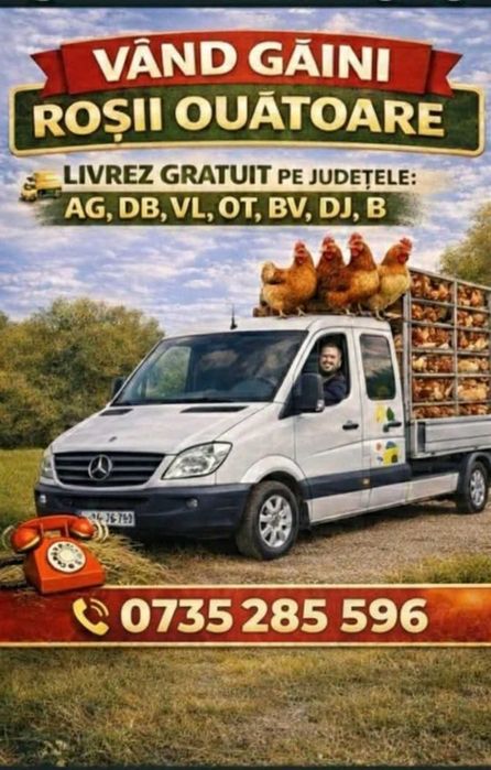 Vand gaini albe (roka )si rosi (brawn)