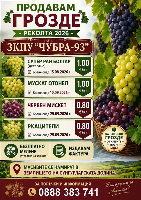 Грозде за вино и ракия