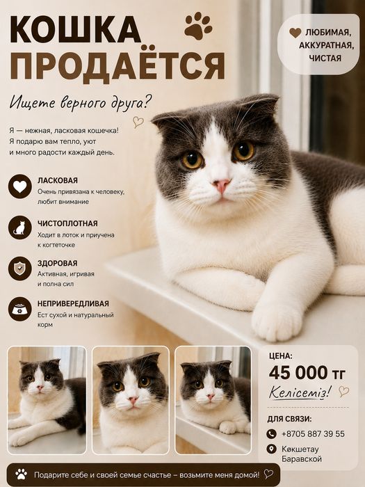 Кошка Продается Срочно 4⁵месец