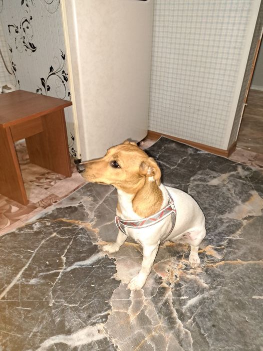 Девочка ище мальчика