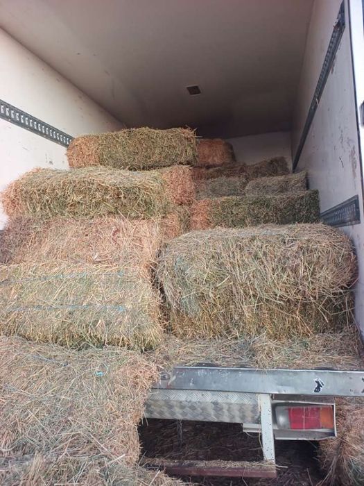 Vând baloti de lucerna/fân