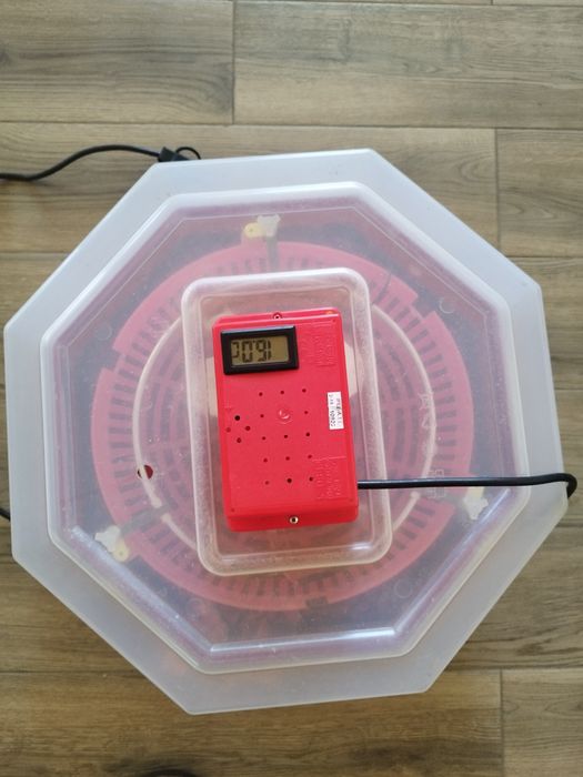 Incubator  oua cleo5