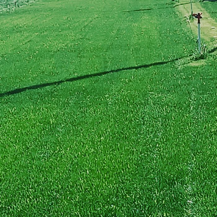 Газон установка за квадрат 25 000