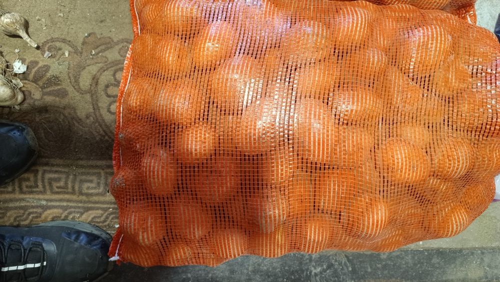 Продам картофель