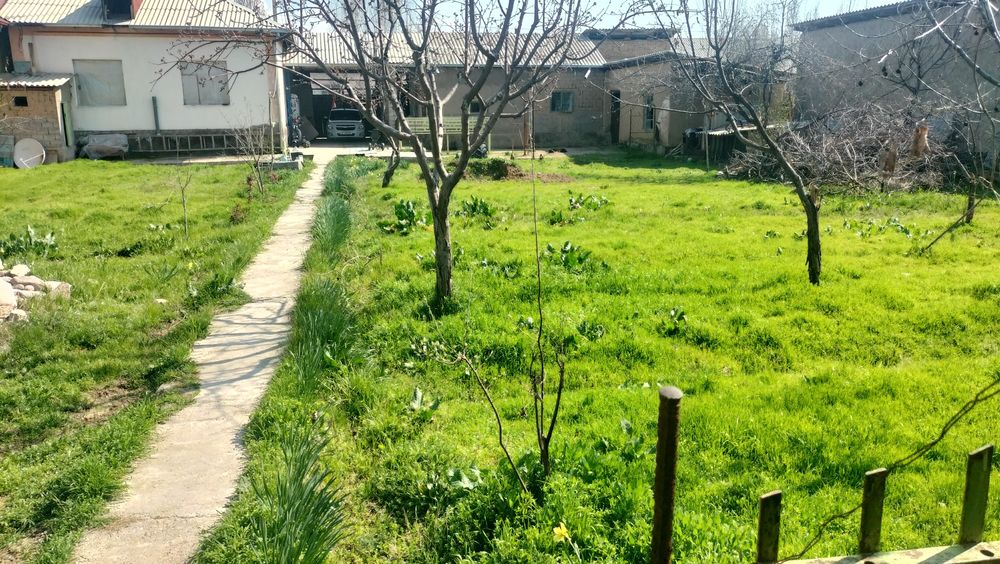 Ушаска Сотилади 12 сотк уйибилан [[сотиги^ 9500]]