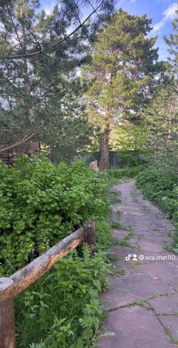 Дам в ареүду центре Борового