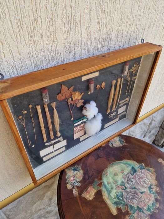 Страхотно антикварно пано - Влакнодайни култури