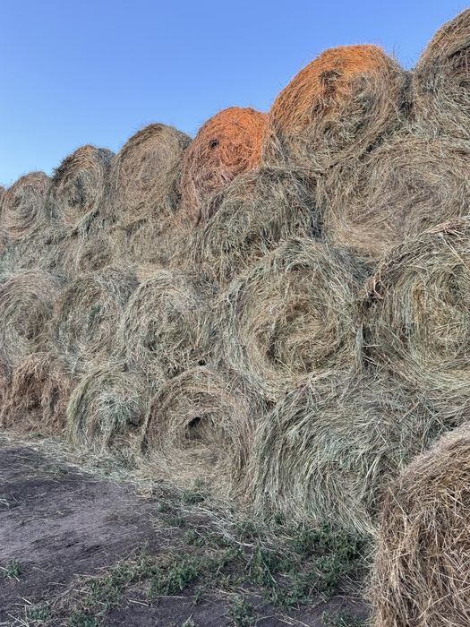 Продается СЕНО в тюках!!!