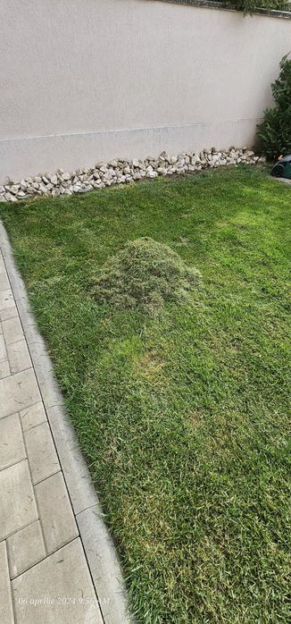 Gazon, Automatizare Sisteme de irigat, Scarificare, Mentenanță