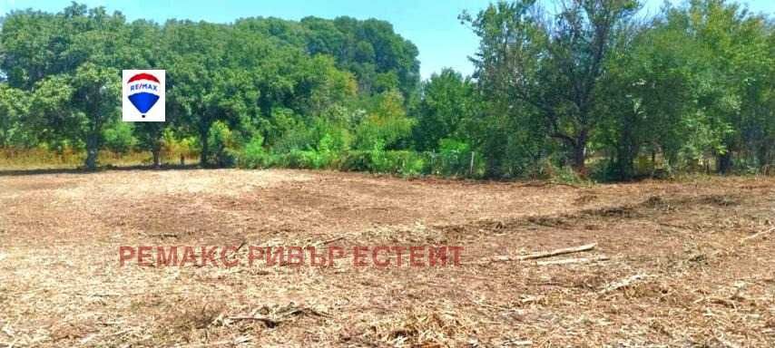 УПИ за продажба в с. Ряхово, обл. Русе