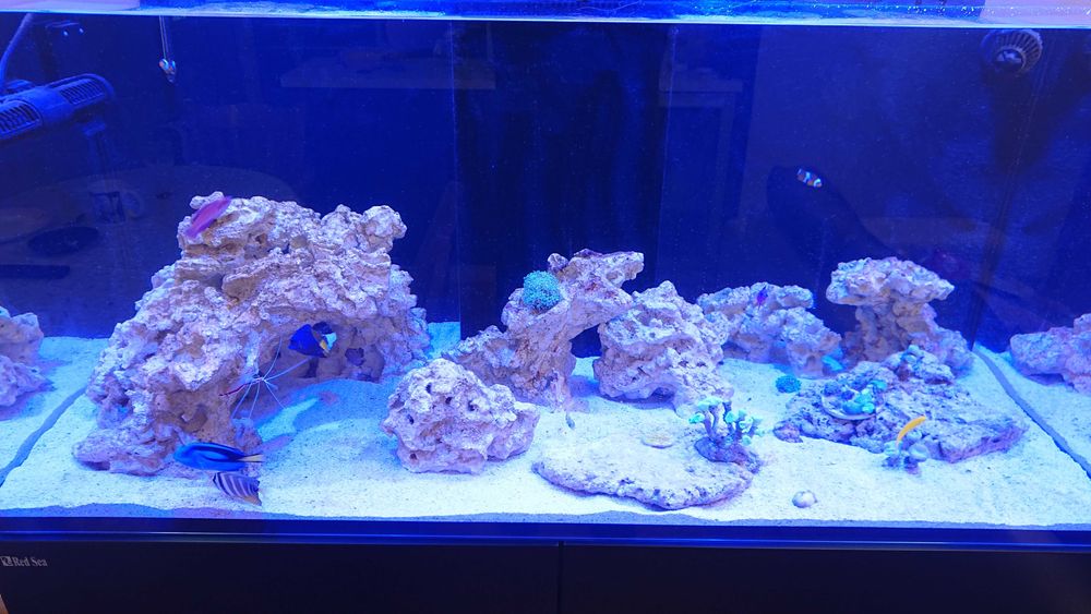 Морски аквариум RED SEA DELUX 425