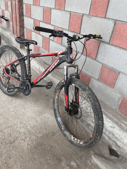 Прадаю велик норм