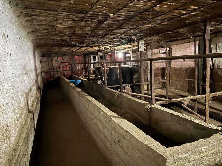 Жедел түрде қора сатылады!