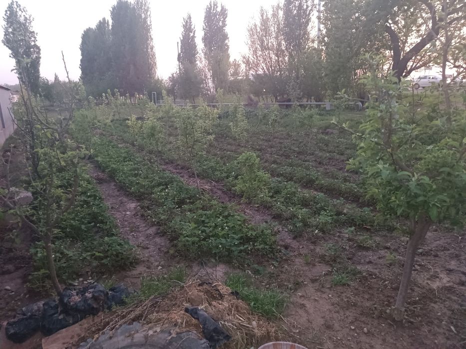 Uy sotladi Yangi Toshkend mahalasda