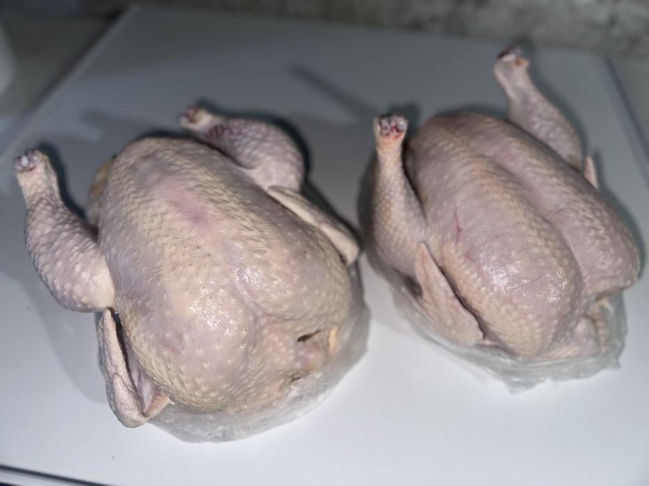 Куры домашний бройлер