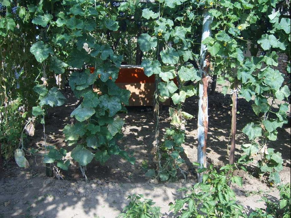 Продава се Къща в с. Житница, Област Добрич - 90 кв.м за 170 €/кв.м - Снимка #14