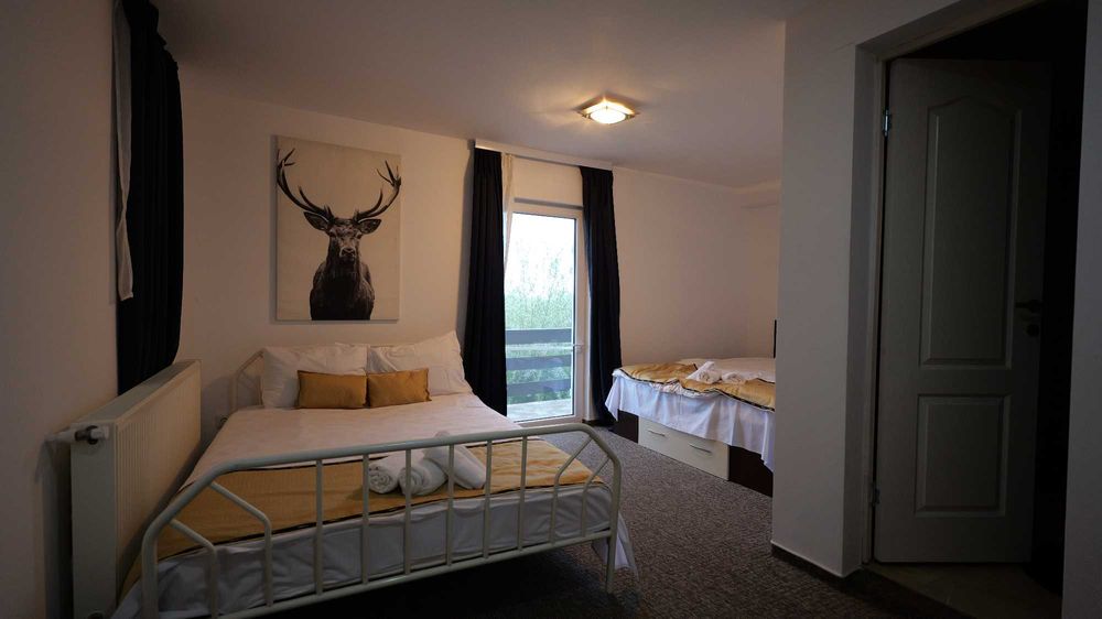 Cabana disponibila de Revelion (PH) (Toate facilitatile incl.)