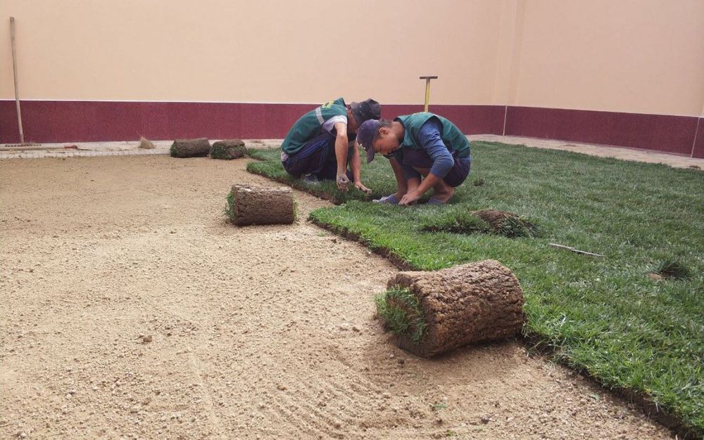 Рулонный газон доставка и укладка за один день