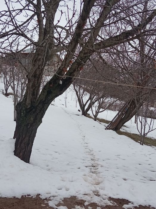 За городом в селле