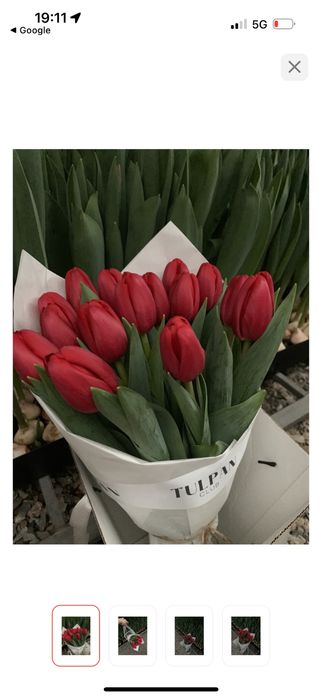 Тюльпаны букеты