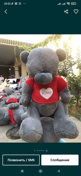 Айик, Тедди, Teddy original 30sm 3m