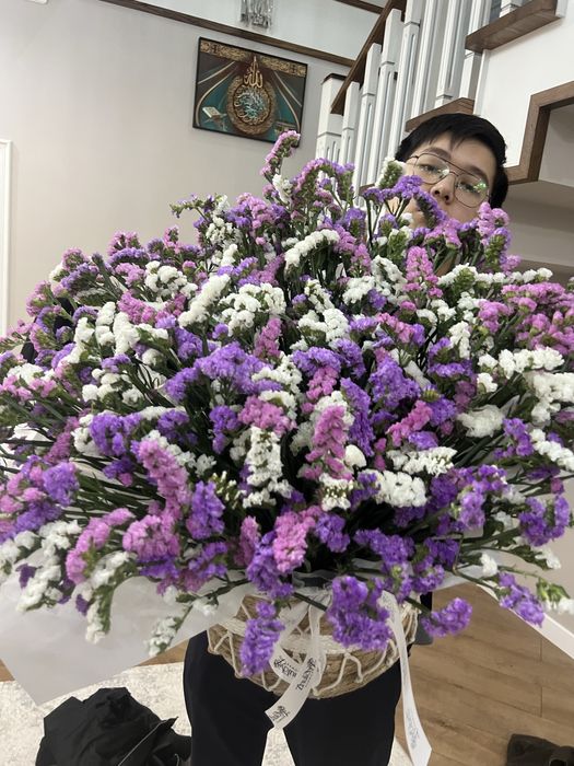 Цветы Статица в кашпо