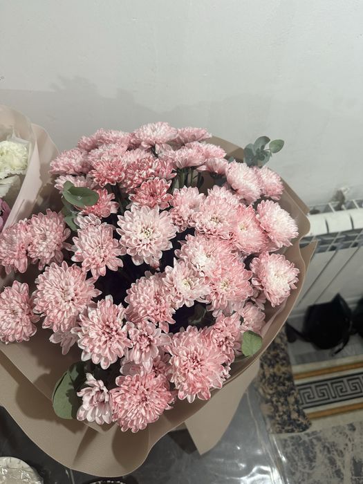 Продам цветы срочно