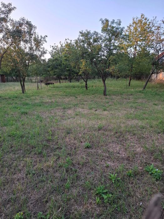 Casa de vânzare Ciutelec