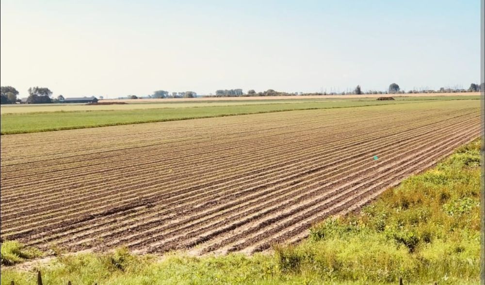 Vand Teren Arabil cu potential  in sat Aluniș  jud Arad