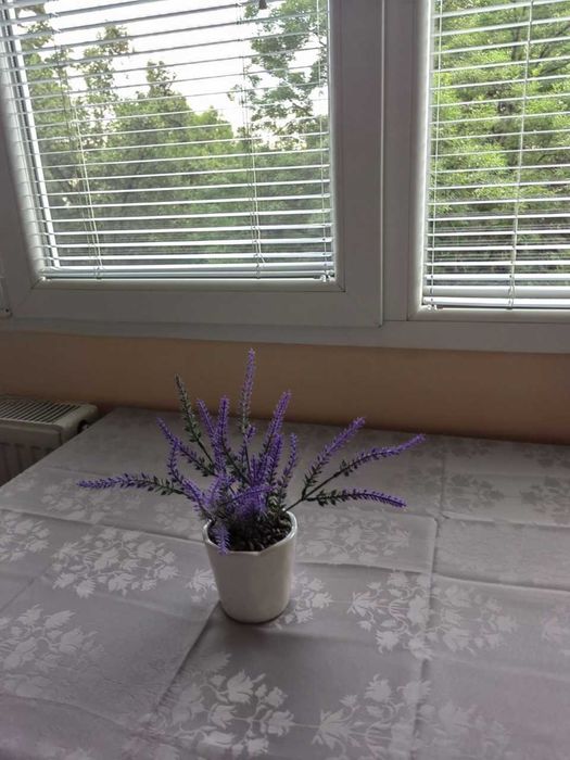 Дава се под наем Едностаен апартамент в София, Хаджи Димитър - 45 кв.м за 409 € - Снимка #11