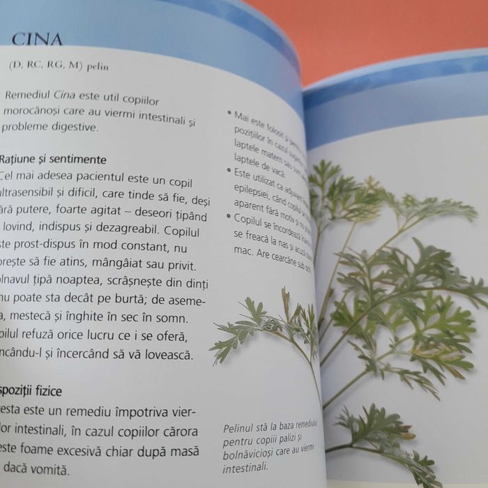 Pachet 7 cărți Totul despre