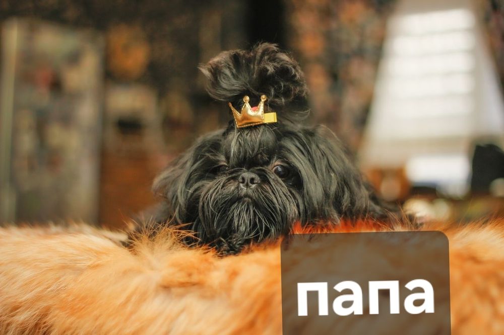 Отличный лайфхак  для сплочение семьи