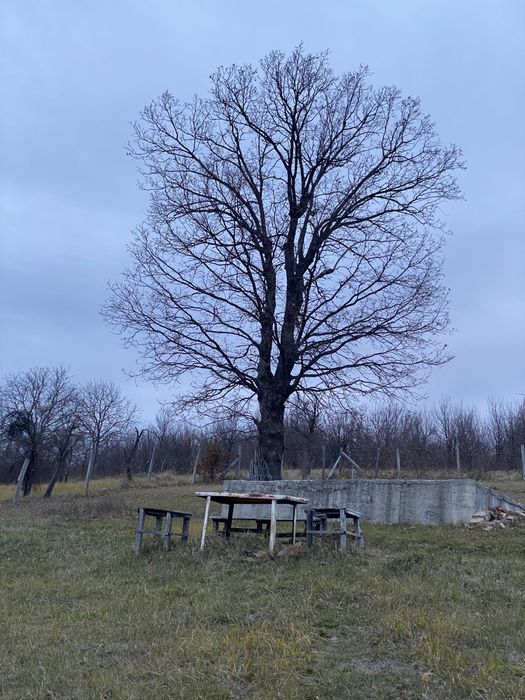 Продава се Парцел в Варна, Владислав Варненчик - 1581 кв.м за 12 €/кв.м - Снимка #1